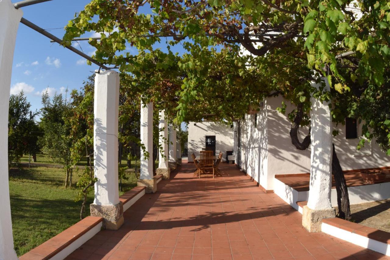 La Giara House ,Near Gallipoli อเลซิโอ ภายนอก รูปภาพ